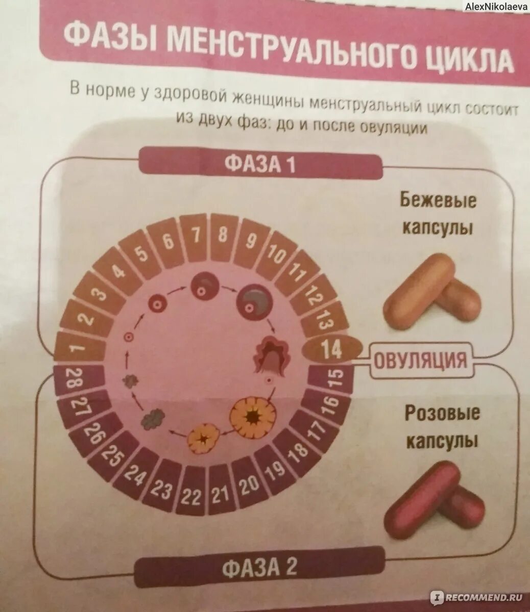 Вторая фаза менструационного. 1 Фаза менструационного цикла. 2 Фаза менструационного цикла. Вторая фаза месячных. 1 И 2 фаза менструационного цикла.