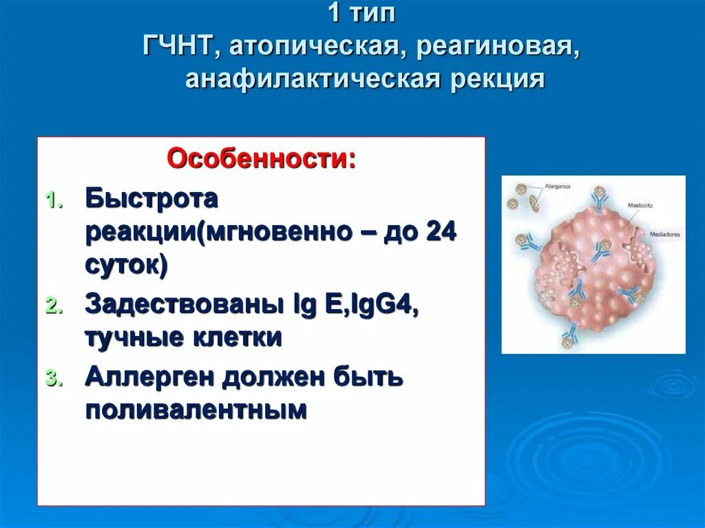 Реагиновый тип реакции. Реагиновый тип аллергических реакций. схема аллергической реакции 1 типа. патогенез гчнт. гчнт 1 типа.