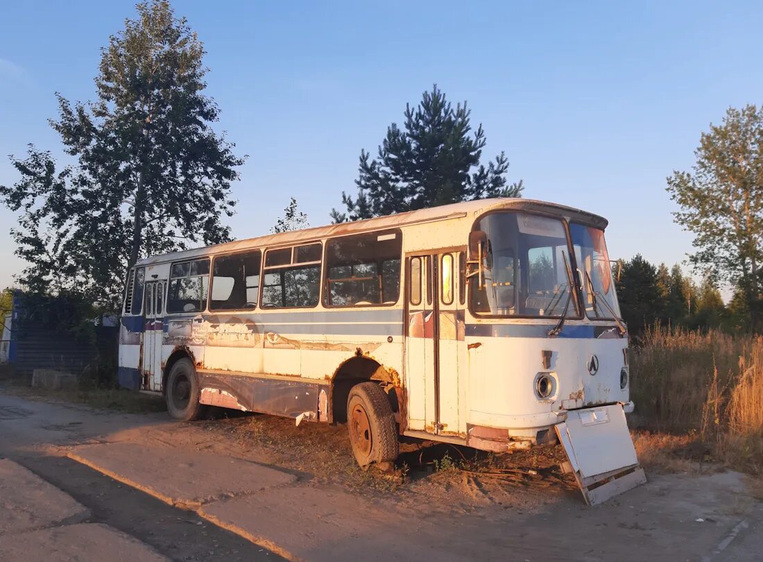 Расписание автобусов елово пермь через елово. ЛАЗ 695. ЛАЗ-695 автобус. ЛАЗ 695н новый. ЛАЗ 695 Т троллейбус зеленый.