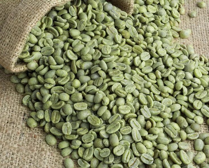День зеленого кофе. Зеленый кофе. Зеленый кофе в зернах. Кофе зеленый зерновой. Зеленые необжаренные зерна кофе.