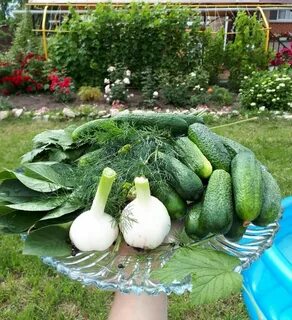 Огородник из рязани