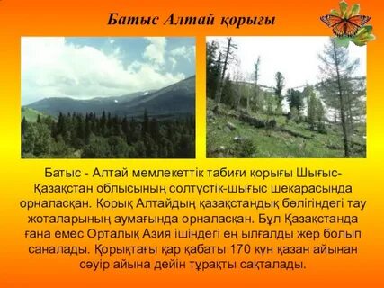 Қарт адамның порносын сору