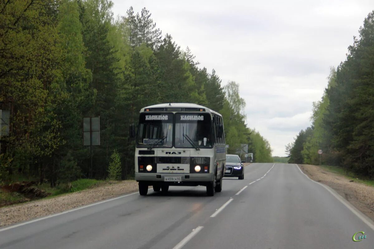 Купить билет рязань касимов. ПАЗ-32053 Касимов. Автобус ПАЗ Рязань Касимов. Автобус Касимов. Автовокзал Касимов.