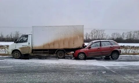 Xv ноября