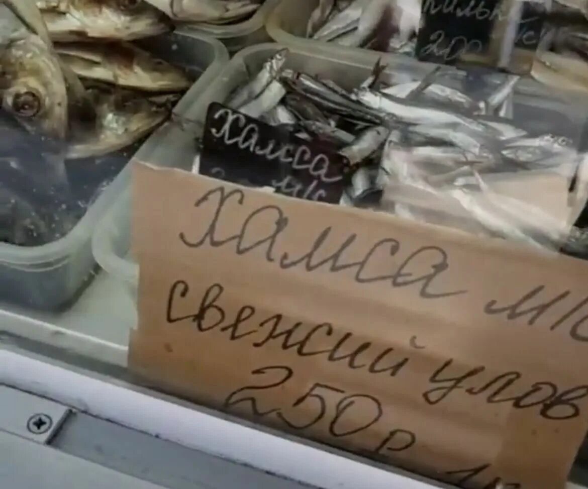 Видео про игоря. Анекдоты про игоря. Шутки про игоря. Приколы про игоря в картинках. Видео про игоря.