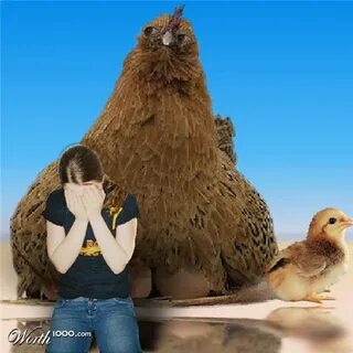 Боюсь больших птиц