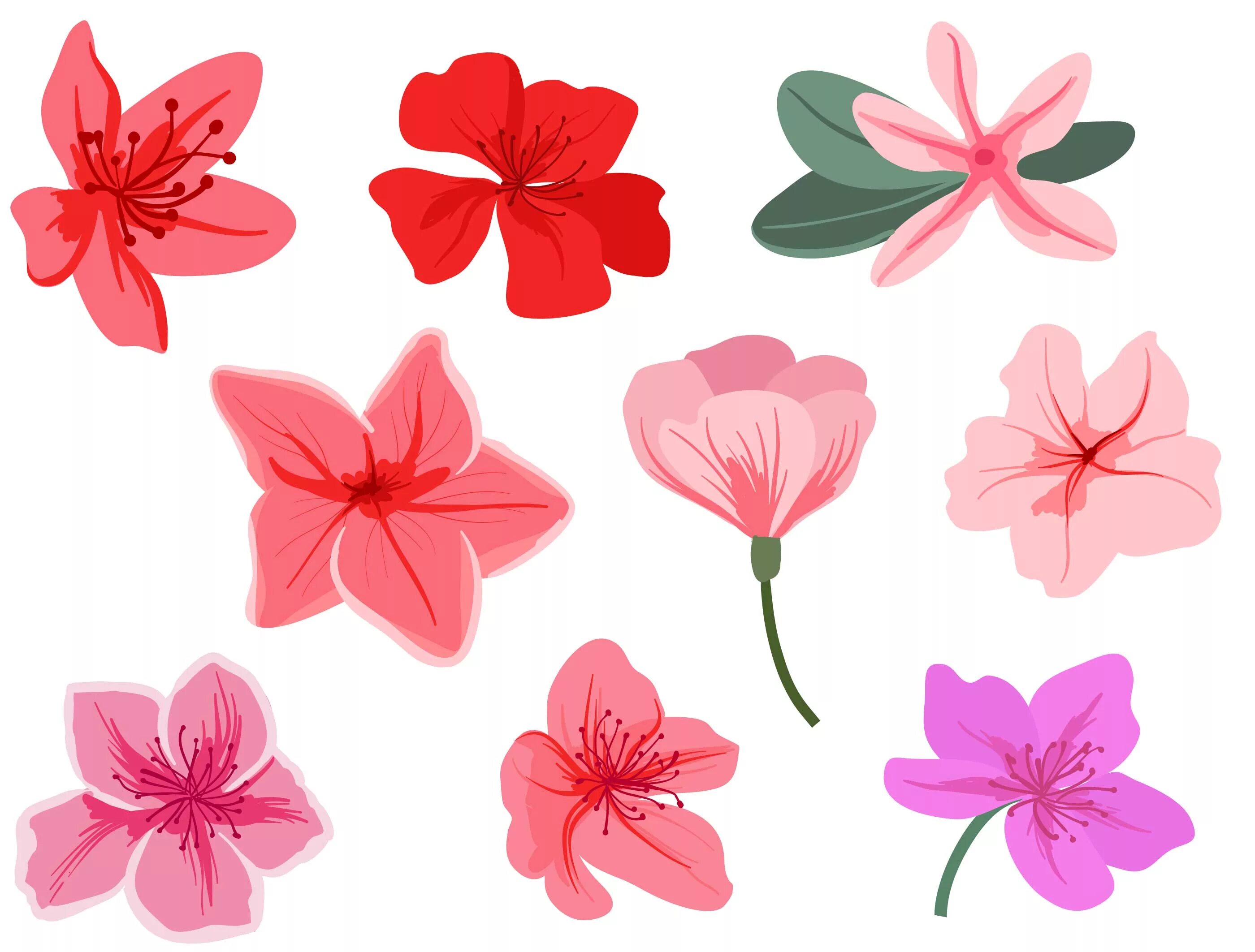 Flat flower