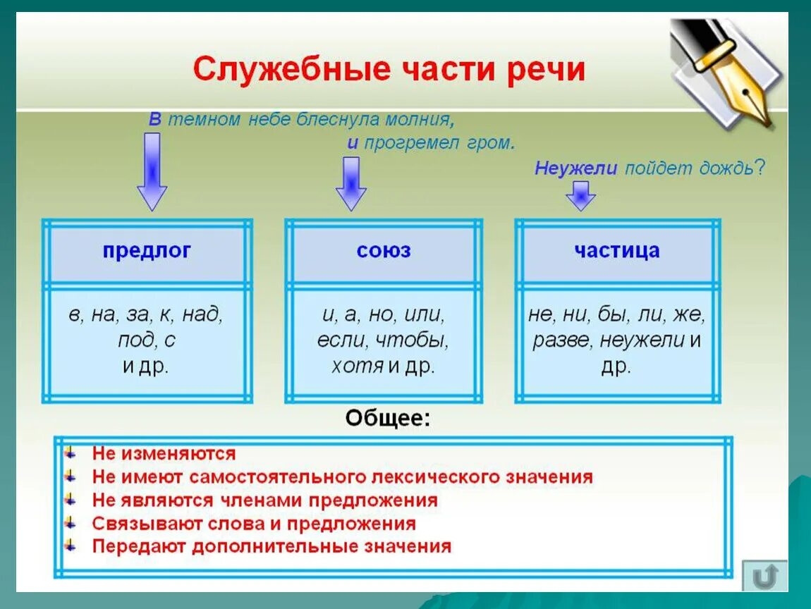 Части подов. Все служебные части речи в русском языке 7 класс. Что такое служебные части речи в русском языке 5. Все служебные части речи в русском языке 4 класс. Служебные части речи в русском языке 5 класс.