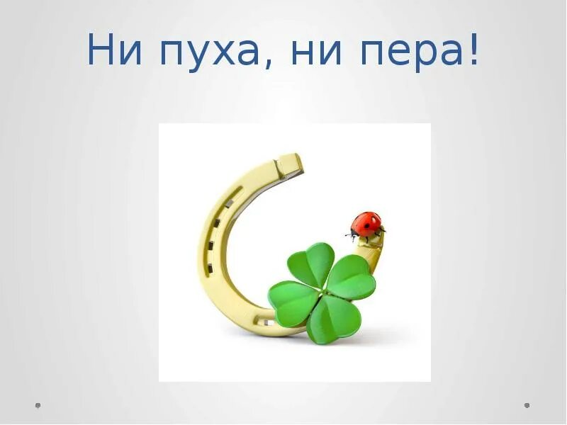 Пожелание ни пуха ни пера. Пожелание ни пуха ни пера. Ни пуха ни пера. Открытка ни пуха ни пера. Ни пуха ни пера на экзамене прикольные.