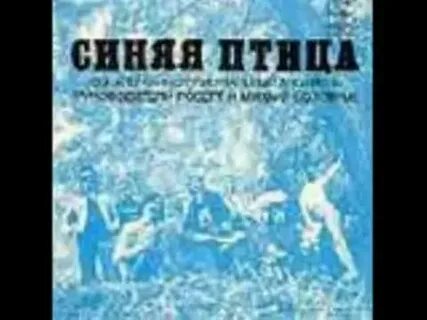 Синяя птица здравствуй