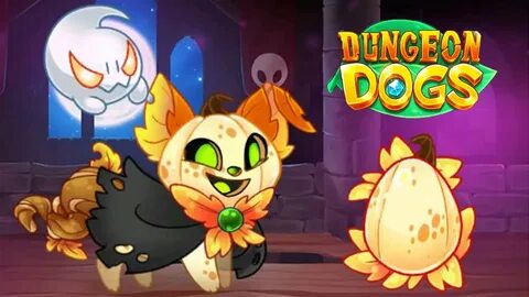 Dungeon dogs