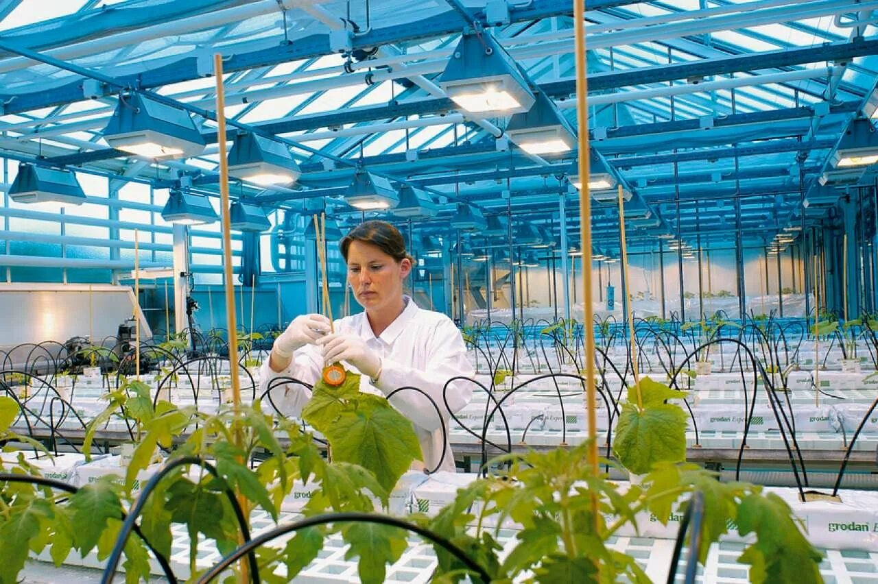 Ученый агроном. Агроном овощевод. Кристиан кресс селекционер. Агроном. Агроном профессия.