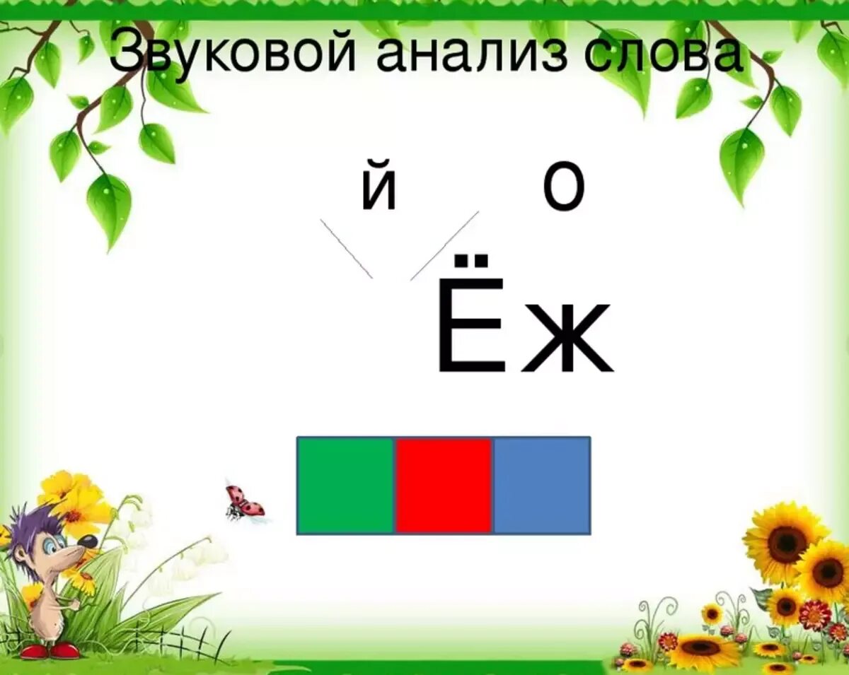 Буквенный разбор слова ежи