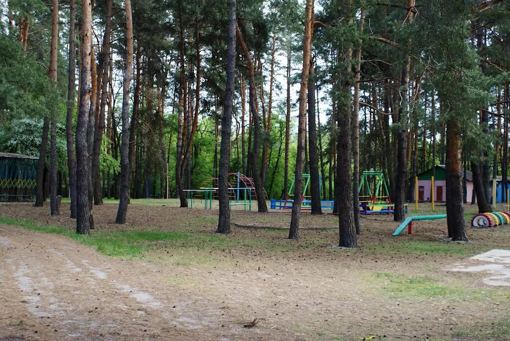 Сайт дол гагарина. Лагерь Гагарина Заводоуковск. Лагерь Гагарина Гурьевск. Лагерь Гагарина Тюмень. Лагерь Гагарина Благовещенск.