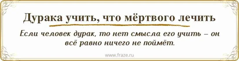 Поговорка дурака учить. Дурака учить что мертвого лечить. Пословицы про дураков. Дурная голова ногам покоя не дает.