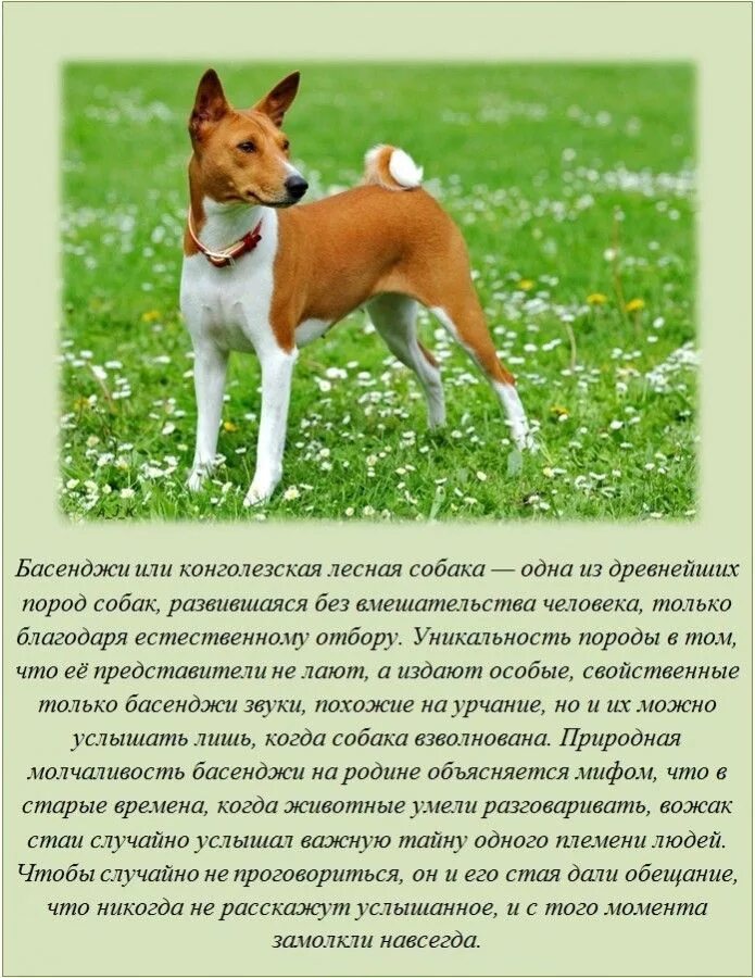 Читать обо всем интересном. Интересные факты. удивительные факты. интересные факты обо всем на свете. познавательные факты.