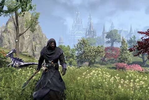 The elder update