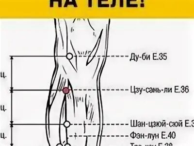 Где находится точка у девушек