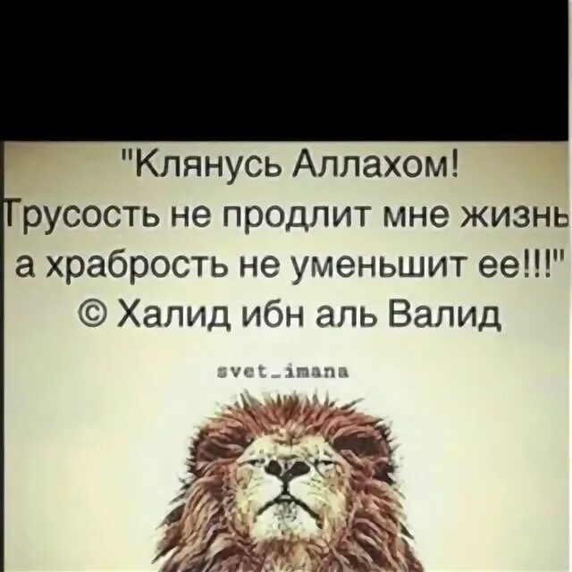 Клянусь Аллахом трусость не. Храбрость не продлит мне жизнь. Трусость не продлит мне жизнь а храбрость не уменьшит ее. Клянусь Аллахом.