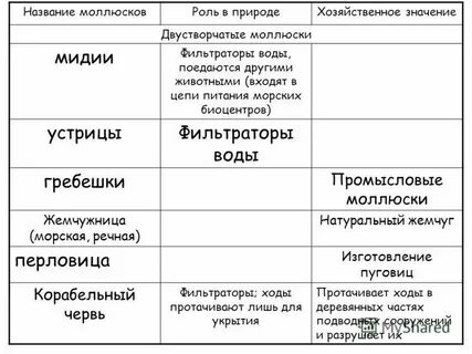 Значение моллюсков в природе человека