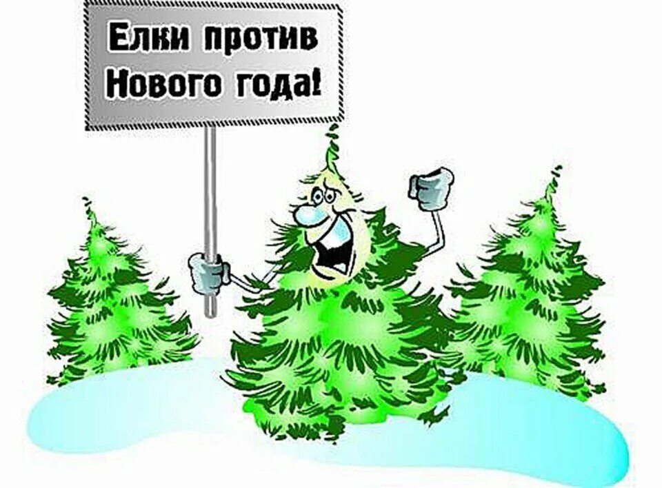 Мимо елок и берез едет. Не рубите елки. против вырубки елок на новый год. плакат против вырубки елок. против новогодних ёлок.