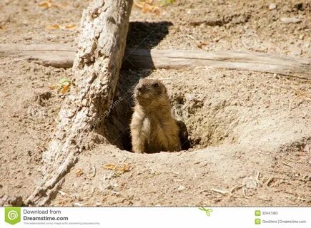 Out of the hole