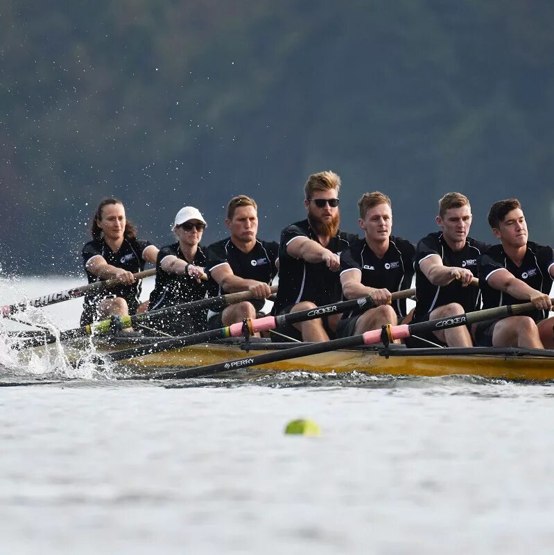 Rowing training. Rowing new zealand. henley 1920 года rowing. henley вид спорта.