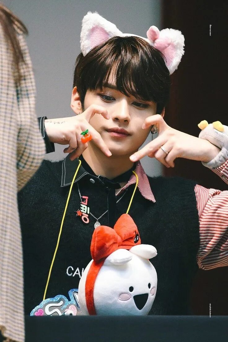 Коты минхо из стрей. Ли мин хо stray kids. ли минхо из stray kids милый. ли мин хо stray kids милашка.