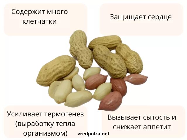 Арахис польза для здоровья. Арахис. Арахис польза. Чем полезен арахис. Чем полезен Земляной орех.