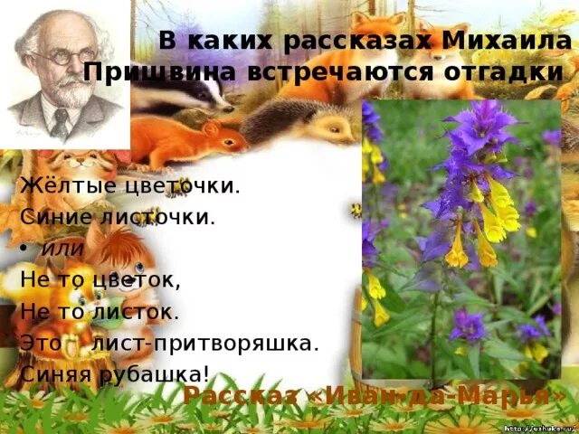 Рассказ м папоркова деревья. Пришвин роса. Вопросы по произведению изобретатель пришвин с ответами. Рассказ ёж пришвин. Пришвин география.