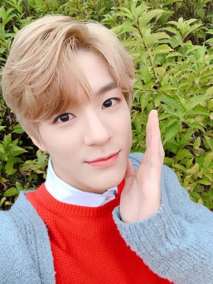 Jeno lee nct. Джено nct. Джено из nct dream. Джено нст дрим. Джено из nct.