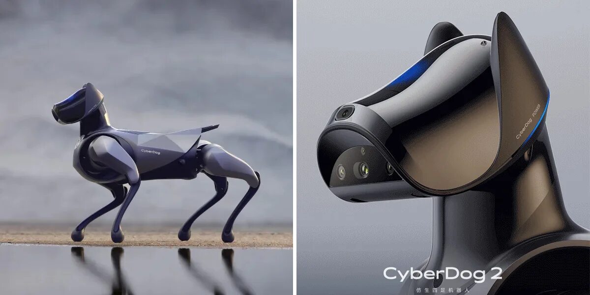 Xiaomi cyberdog 2. Cyberdog 2. Xiaomi cyberdog 2. Cyberdog 2. Cyberdog xiaomi.