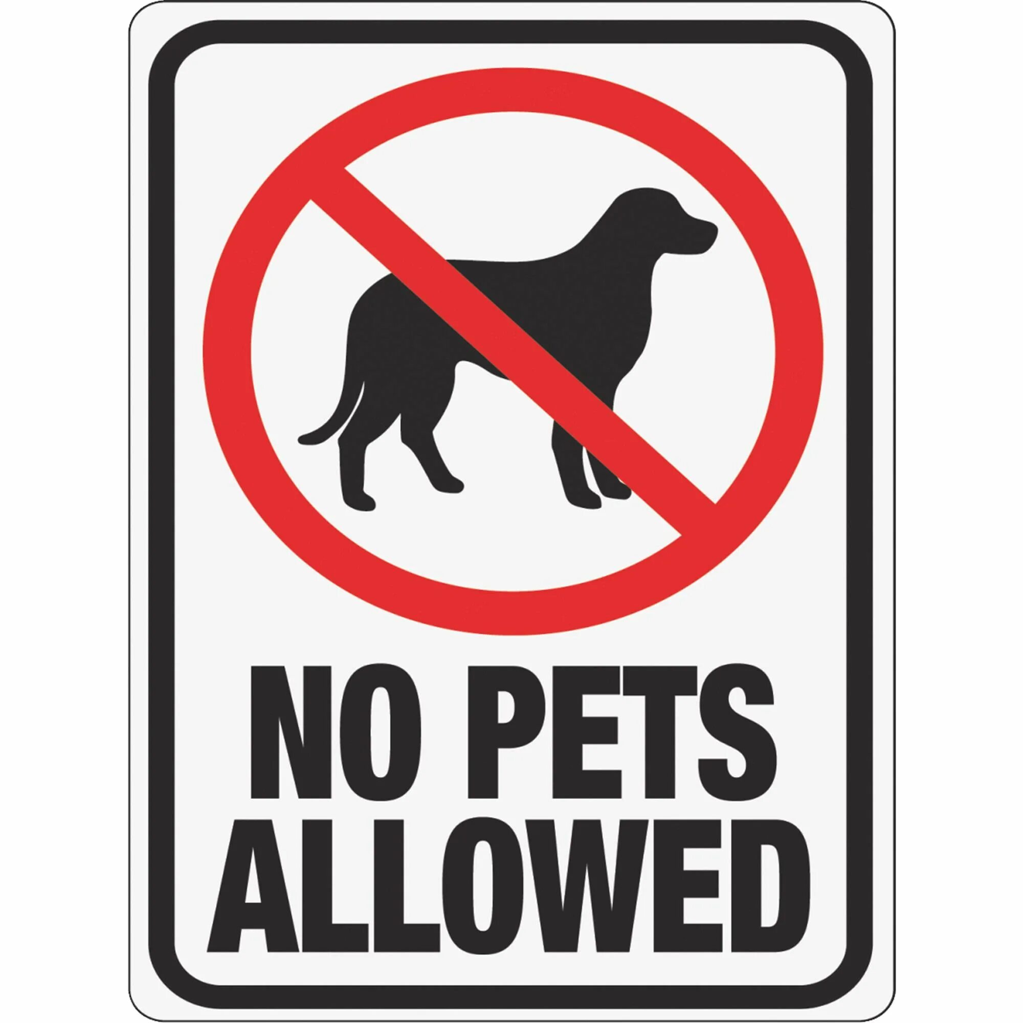 That s not allowed. No pets allowed. no animals.