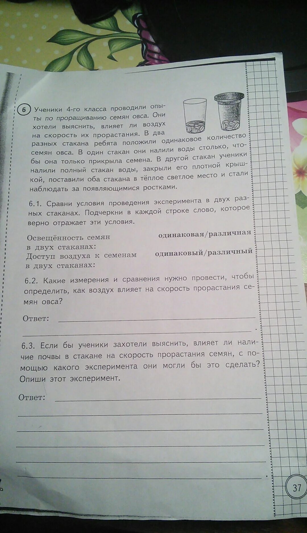 Какие измерения и сравнения надо проводить павлу. Какие измерения и сравнения надо проводить павлу
