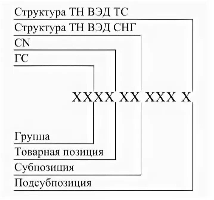 Структура кода тн ВЭД ЕАЭС. Структура кода тн ВЭД. Структура товарного кода. Код тн ВЭД структура кода. Сорочка тн вэд