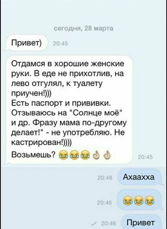 Как сделать красивое сообщение