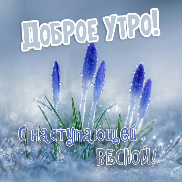 с наступающей весной картинки доброе утро. пожелания с добрым весенним утром. с наступающей весной картинки доброе утро. весенний день. с наступающей весной картинки доброе утро.