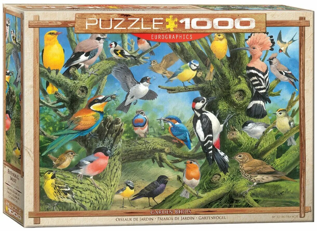 Puzzle bird. Пазлы птицы. Пазлы птицы для детей. Садовые птицы пазлы. Пазлы 1000 элементов птицы.