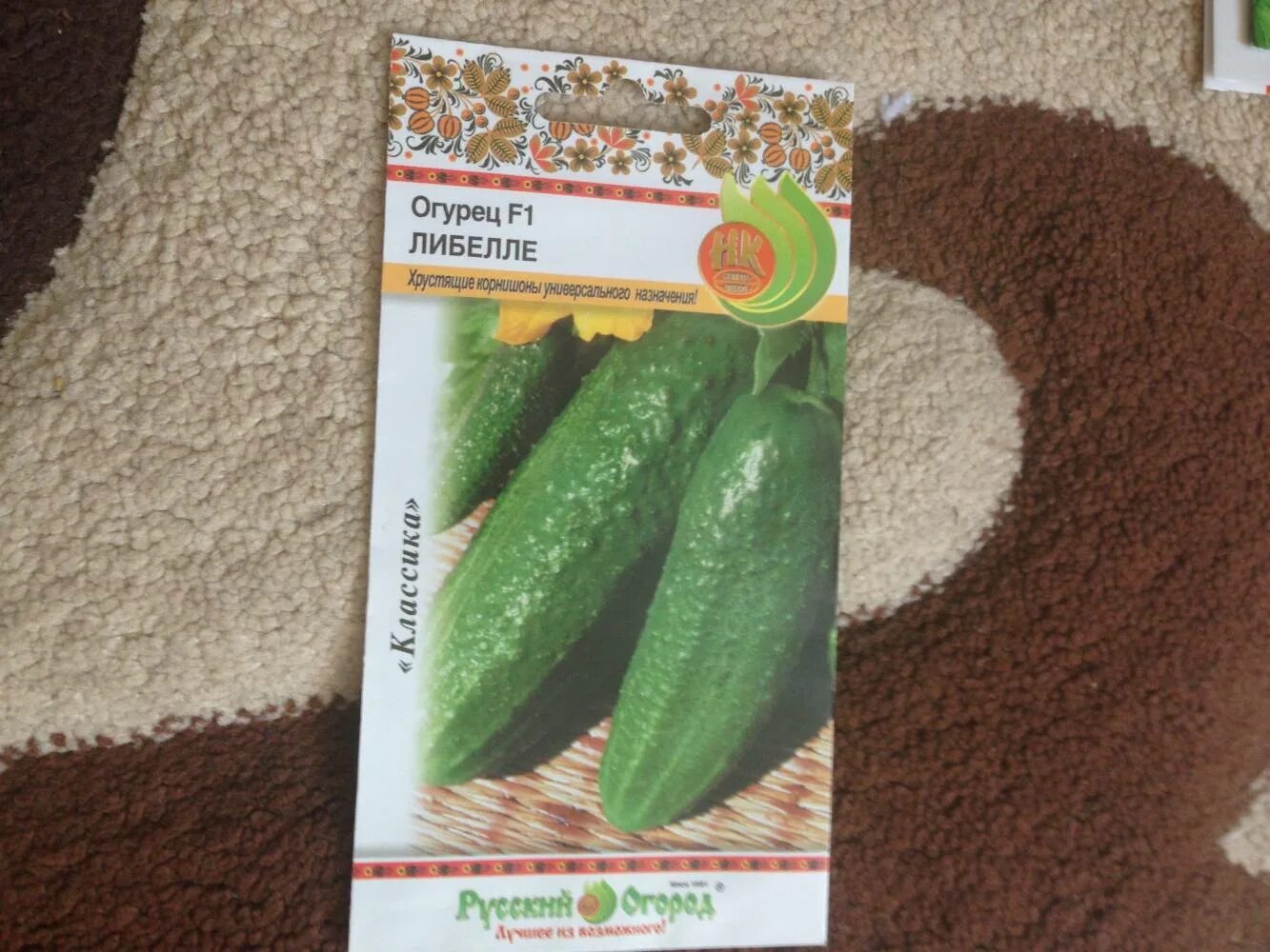 Сорт огурцов либелла. Огурцы сорт либелла. Огурцы сорт либелла. Семена огурца либелла. Огурец либелле f1.