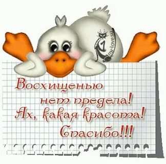 Слова восхищения женщине своими словами