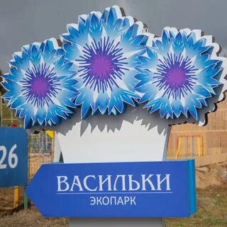 Васильки киров