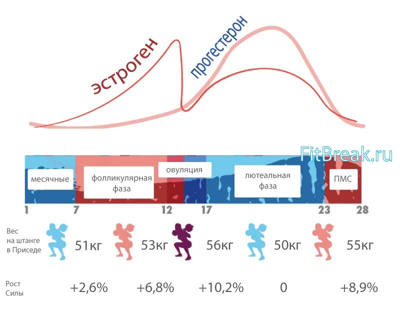 Тренировки при менструационном цикле. Менструальный цикл и тренировки. Симптомы предменструального цикла. Предменструальная фаза цикла. Выходной день в месячные
