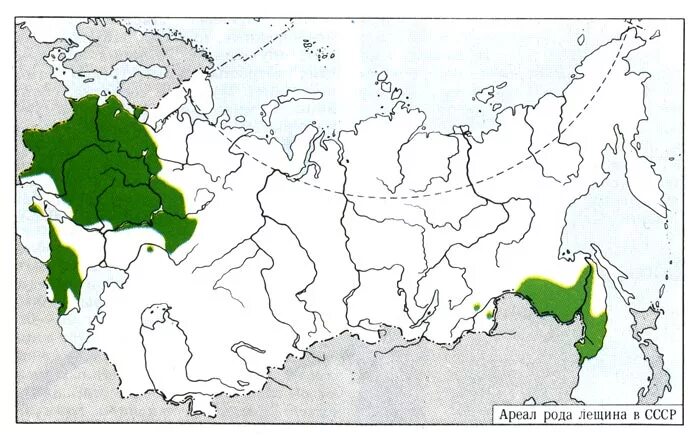 Ареал лещины обыкновенной в России. Лещина обыкновенная ареал. Лещина ареал обитания. Ареал орешника обыкновенной в России.