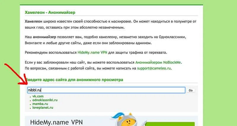 Зайти на сайт друг. Анонимайзер. Анонимайзер хамелеон. Анонимайзер ВК. Как зайти на анонимный сайт.