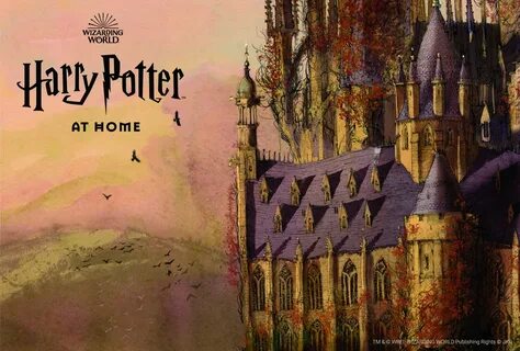 Harry potter home