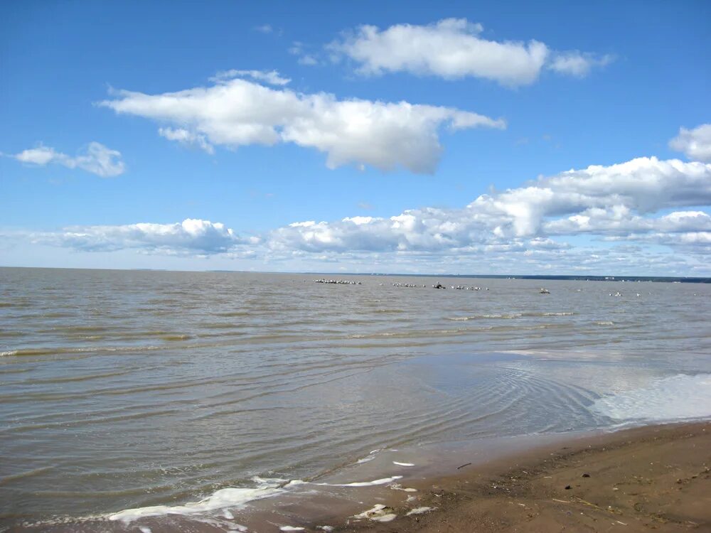 берег реки невы санкт-петербурга. есть ли море в санкт петербурге. пляж петропавловской крепости. санкт-петербург пляж. питер балтийский берег.