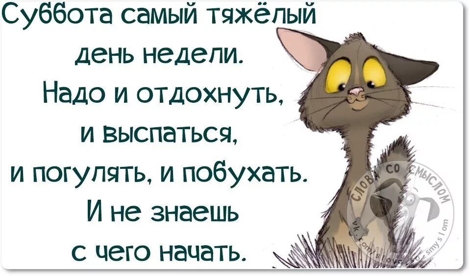 Весело погуляли. Открытки с субботой прикольные. Статус картинки суббота. Анекдоты про субботу смешные в картинках. Весёлой субботы картинки.