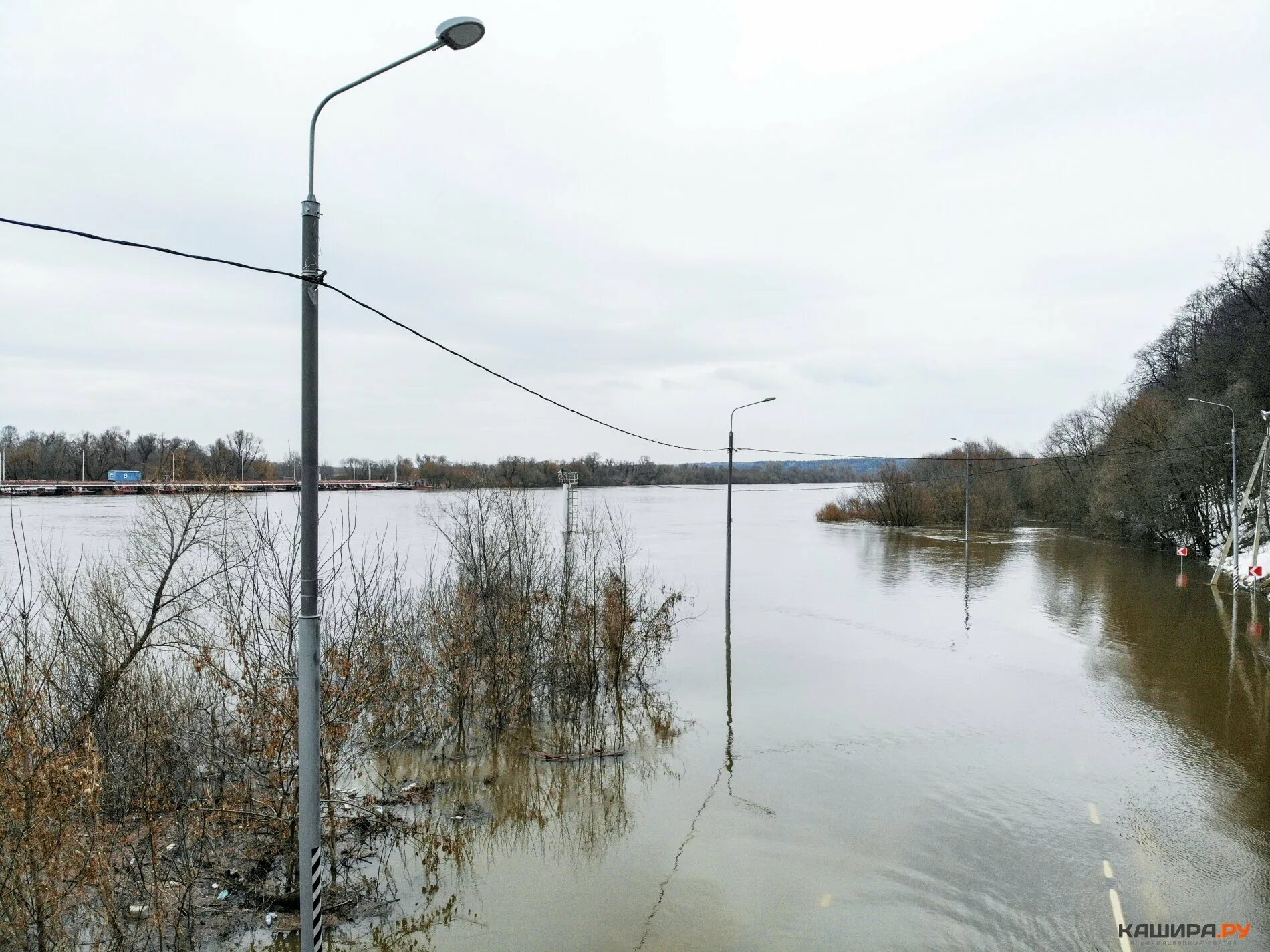 Вода на оке сегодня сколько поднялась. Разлив Оки Озеры. Кашира Ока. Половодье Ока Кашира. Разлив Оки в Кашире Озерах.