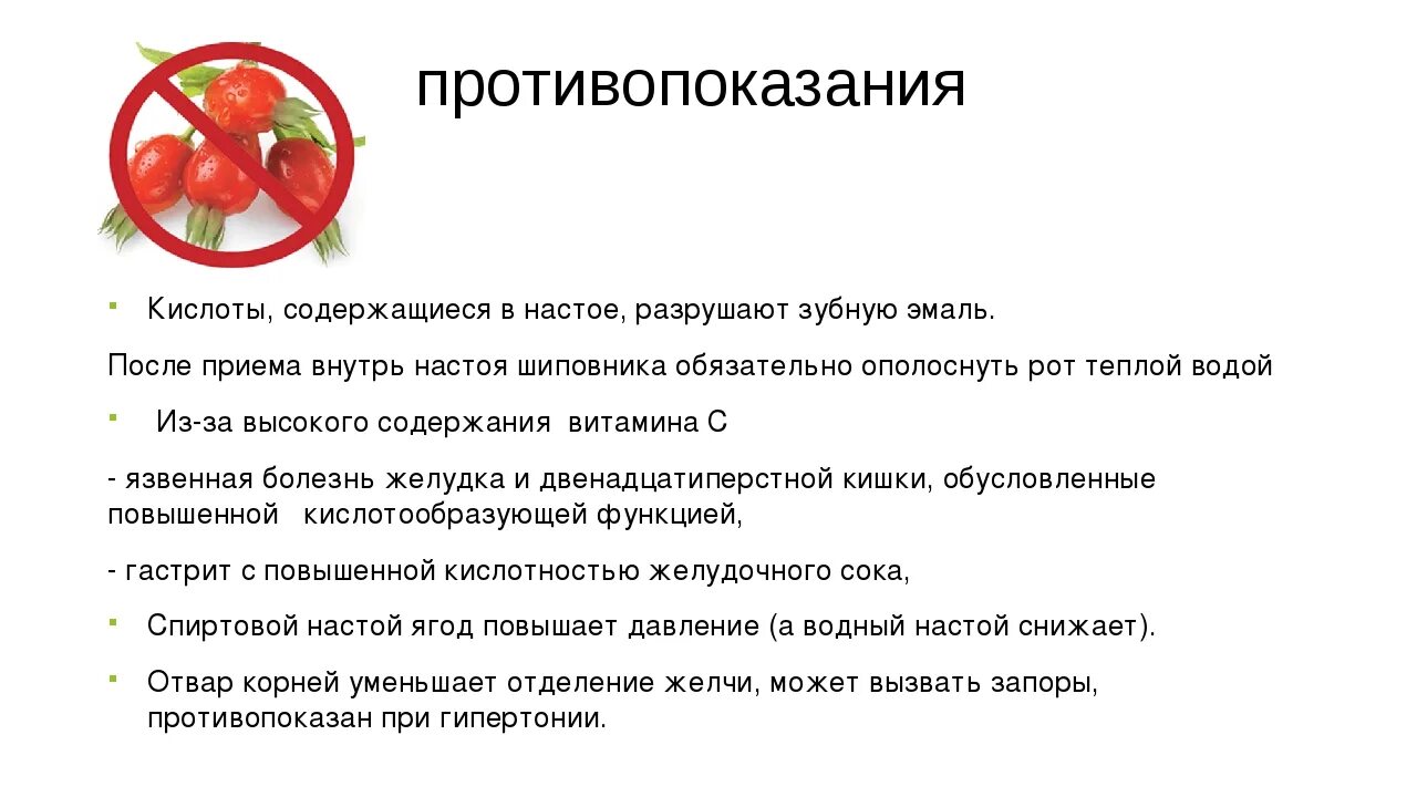 Кому противопоказано пить. Шиповник полезные свойства. Шиповник противопоказан. Шиповник противопоказания. Плоды шиповника противопоказание.