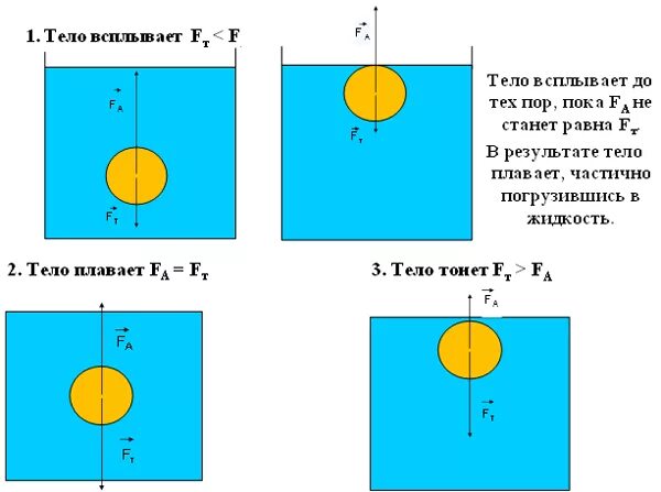 Плавание тел конспект урока 7 класс. Плавание тел конспект. Plavaniya Tel. Плавание тел физика 7 класс. Условие всплытия тела в жидкости.